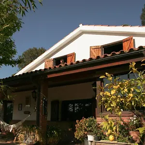 casa-magnolia.catalonia-hotels.com/